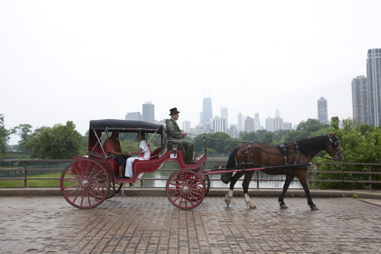 Horse Carriage Ride on Michigan - Go Visit Chicago