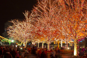 Lincoln Park Zoo Lights Festival