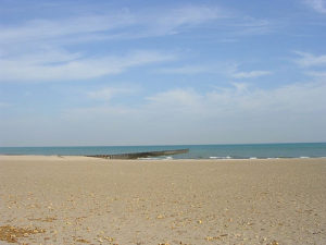 Loyola Park Beach Chicago