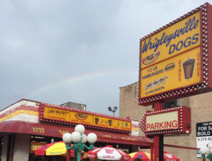 Best Chicago style Hot Dogs